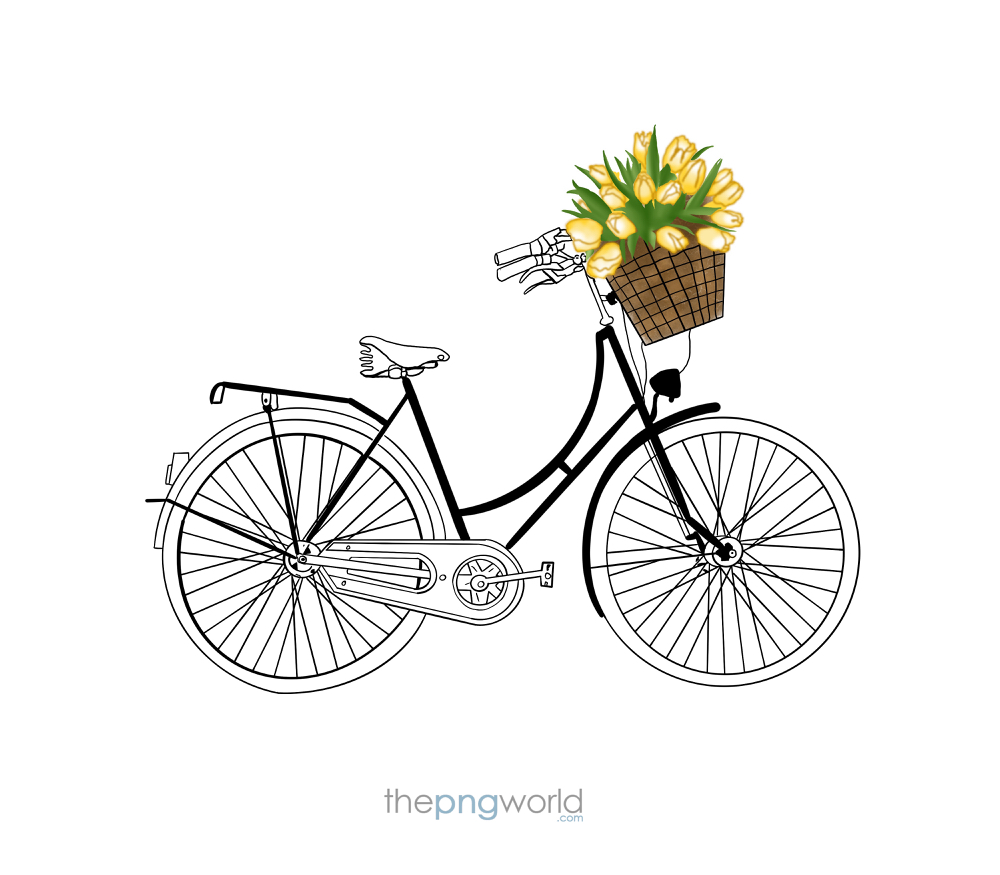 Bicycle Line Art with Flower Basket Cycle,bicycle,ride,rider,cycle love,cycle race,sports,flower basket,girls cycle,healthy routine,health,riding,activity,child,line art,sketch,illustration,design,digital work,black,green,yellow